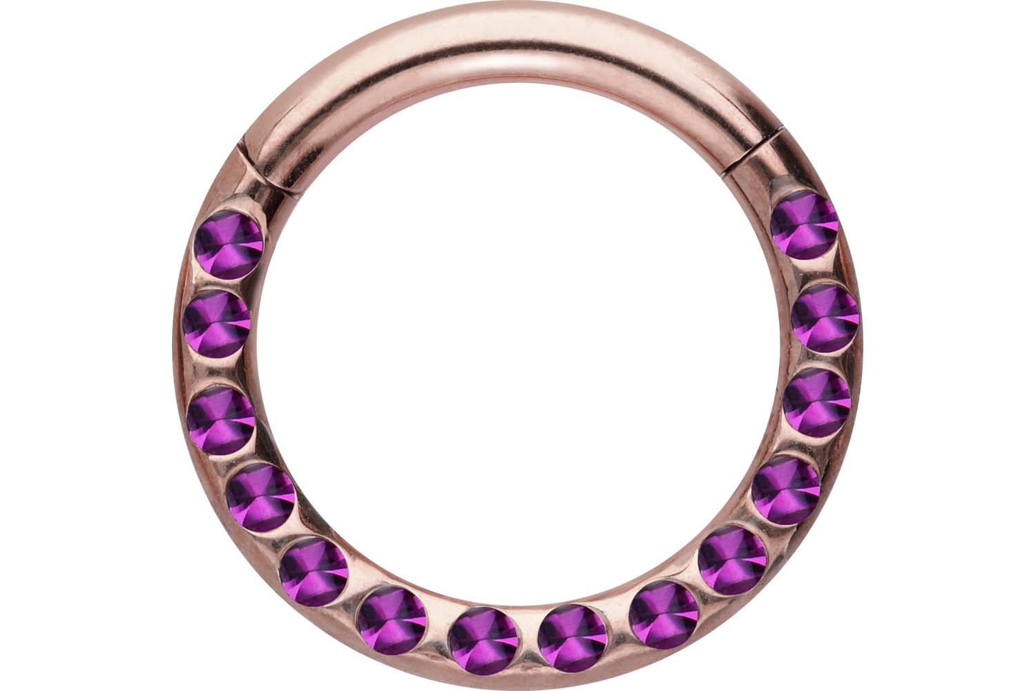 Chirurgenstahl Segmentring Clicker Piercing KRISTALLE + EPOXY ++SALE++